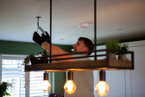 Best Outdoor Lighting Installation  in Adrian, MI